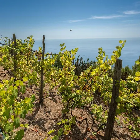 Casa Panoramica Con Terrazza E Vista Mare Alle 5 Terre * Biassa